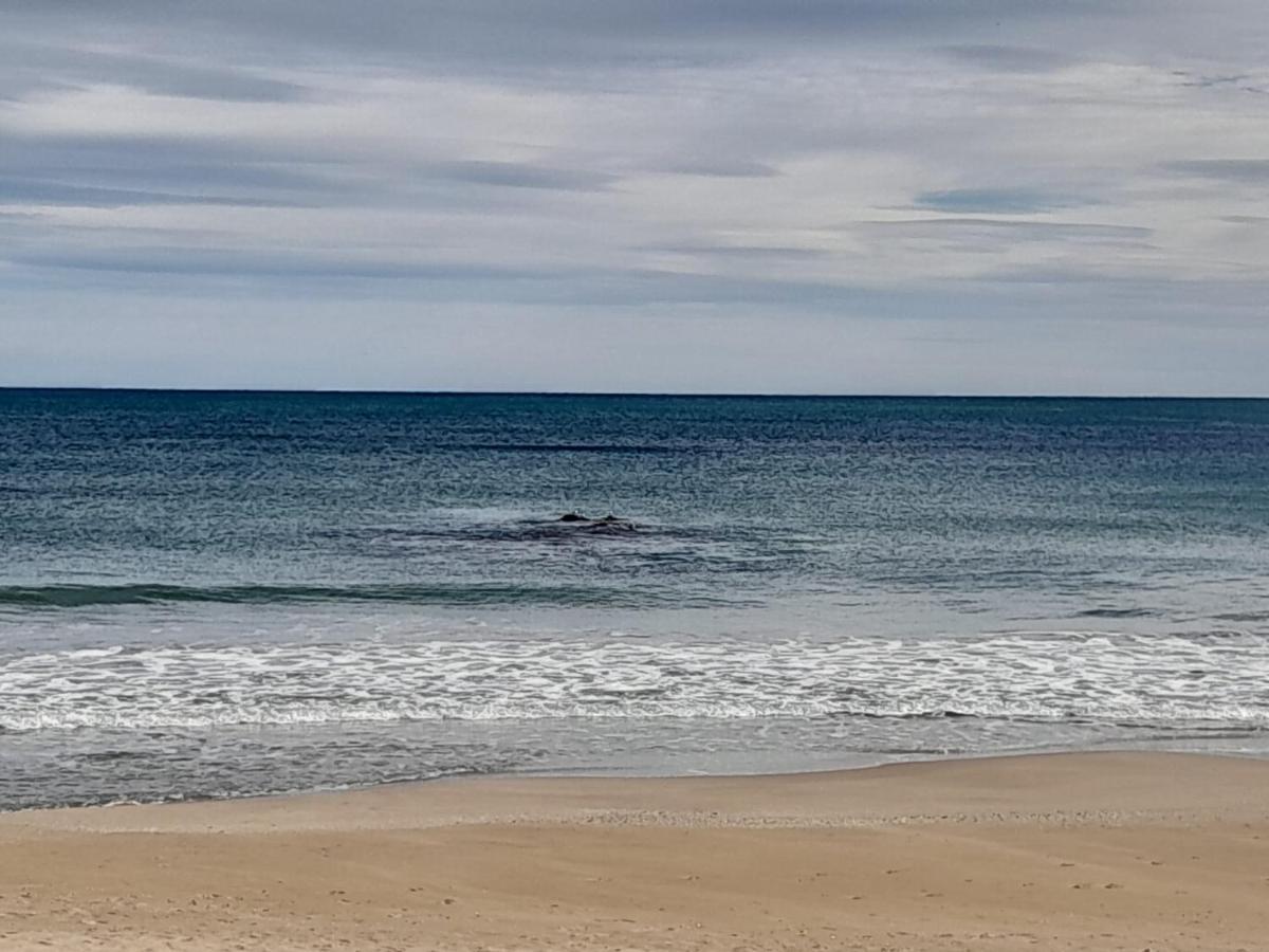 Appartamento Relax Les Palmeres Sueca Esterno foto